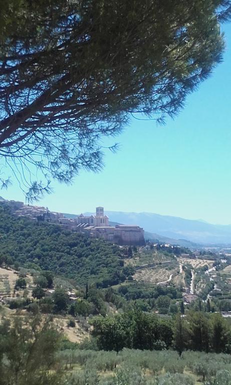 B&B Colle San Francesco Assis Exterior foto