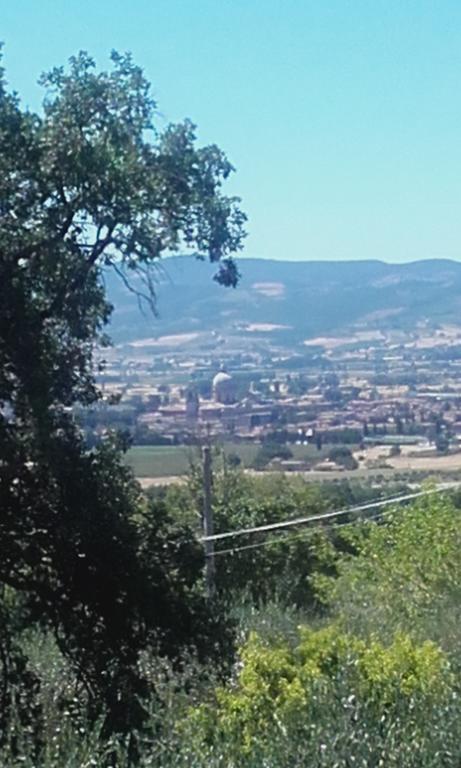 B&B Colle San Francesco Assis Exterior foto