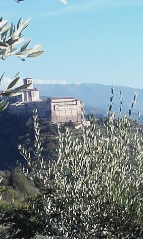 B&B Colle San Francesco Assis Exterior foto