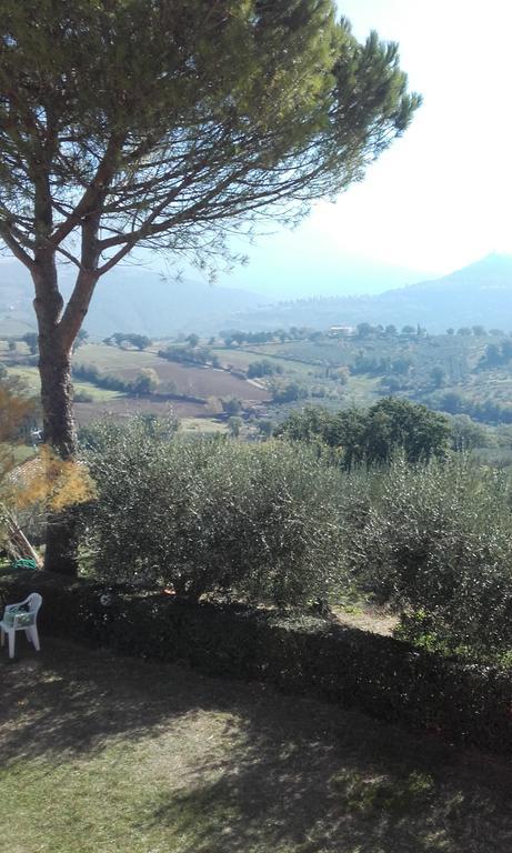 B&B Colle San Francesco Assis Exterior foto